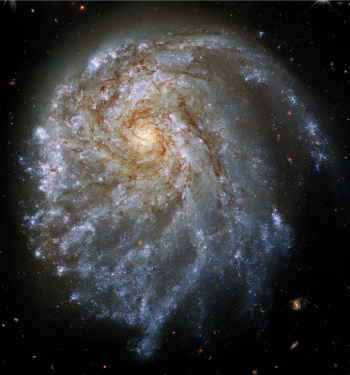 Spiral Galaxy NGC 2276