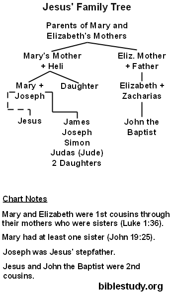 The Family Tree of Jesus Chart