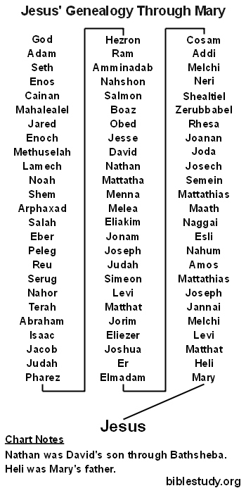 Genealogy of Jesus Through Mary