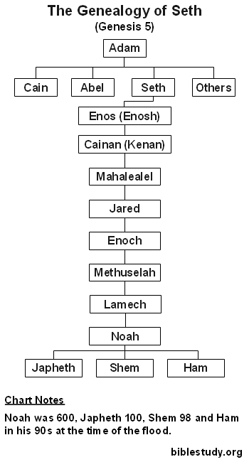 The Genealogy of Seth Chart