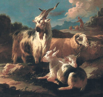 Goats and Sheep